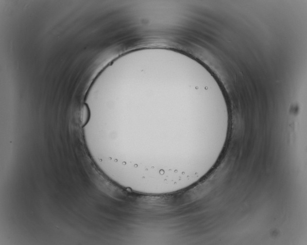 X0000101671481200808071033