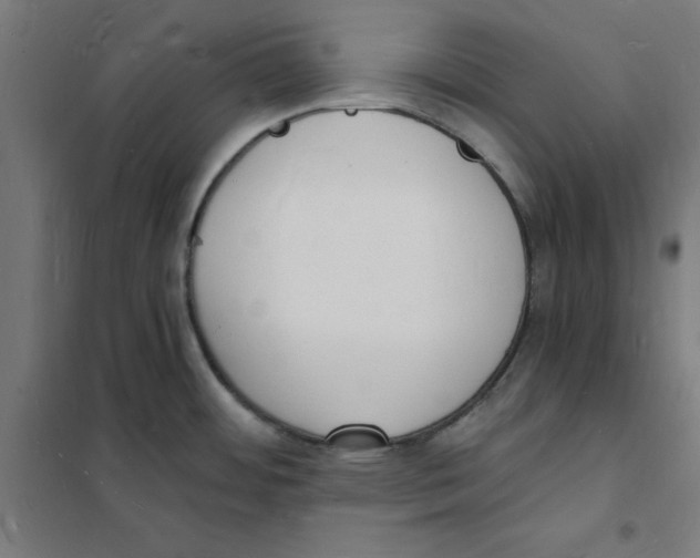 X0000101671484200808071033