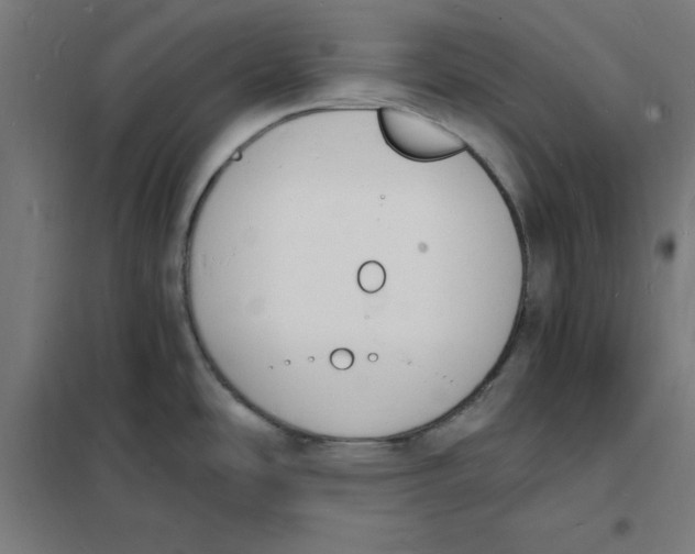 X0000101671486200808071033
