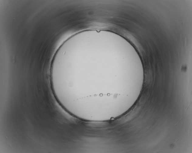 X0000101671487200808071033