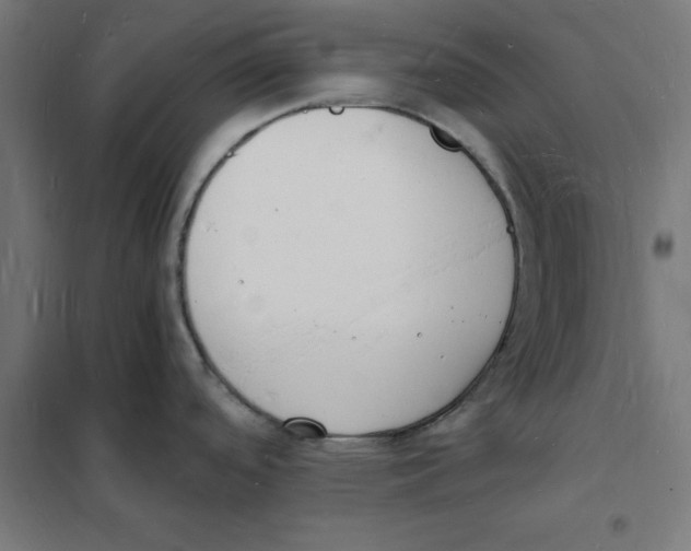 X0000101671488200808071033