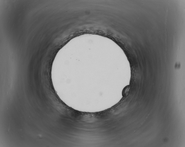 X0000101671489200808071032