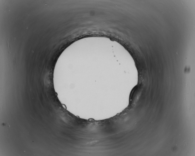 X0000101671490200808071032