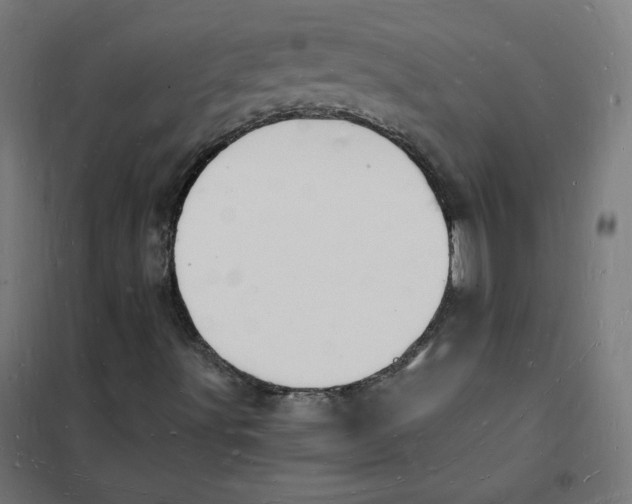 X0000101671491200808071032