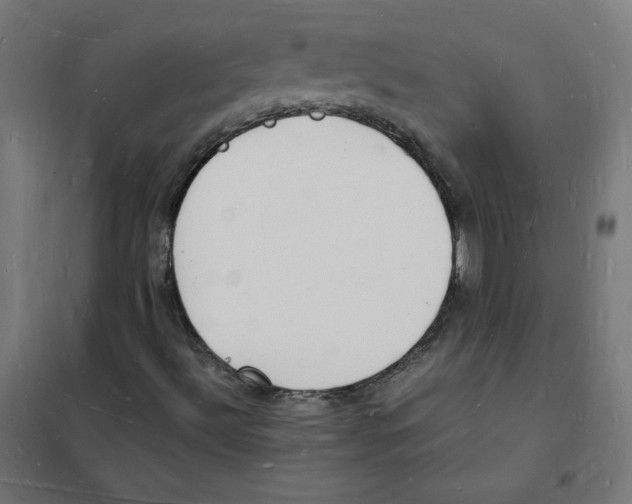 X0000101671492200808071032