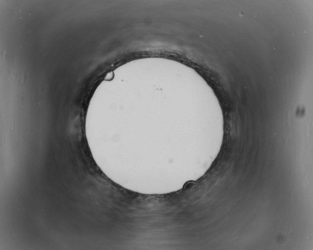 X0000101671493200808071032