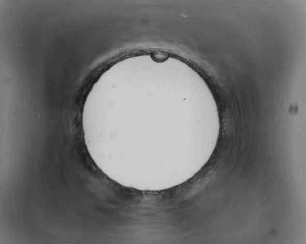 X0000101671494200808071032