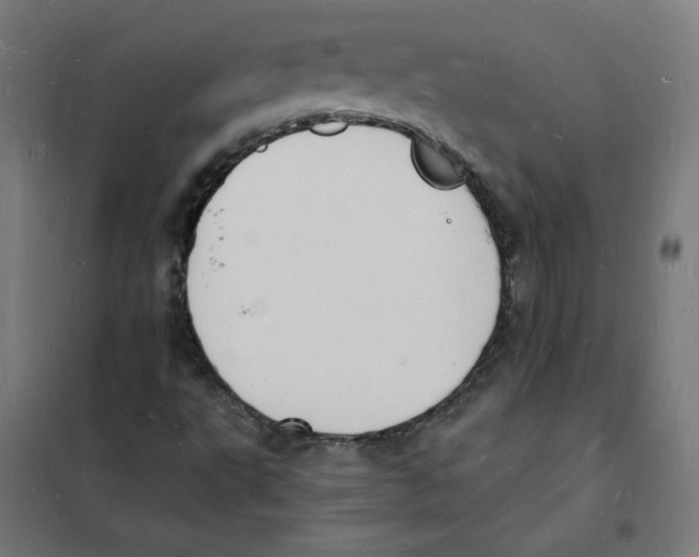 X0000101671495200808071032