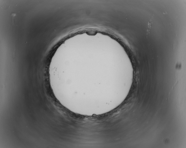 X0000101671496200808071032