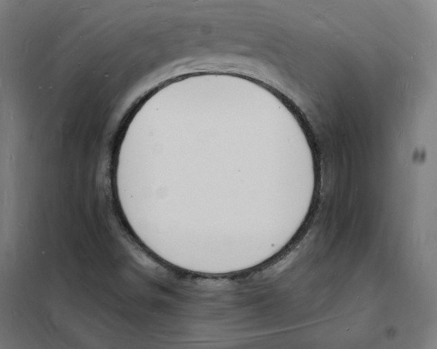 X0000101671498200808071032