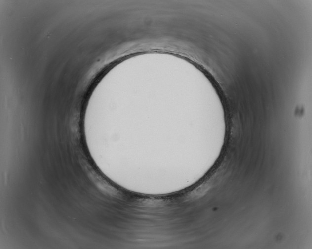 X0000101671499200808071032