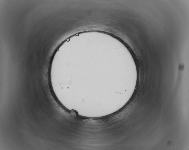 X0000101671500200808071032