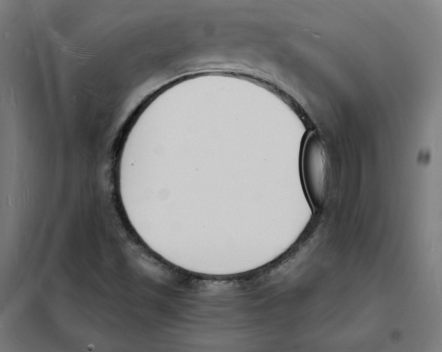 X0000101671501200808071032