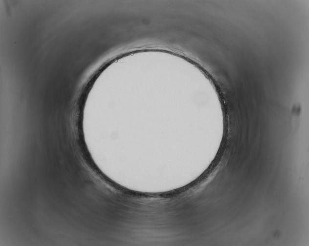 X0000101671502200808071032