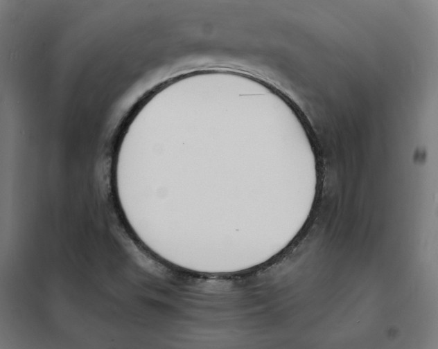 X0000101671503200808071032