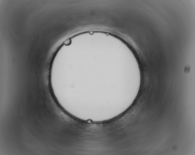 X0000101671504200808071032