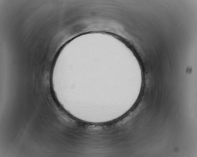 X0000101671505200808071032
