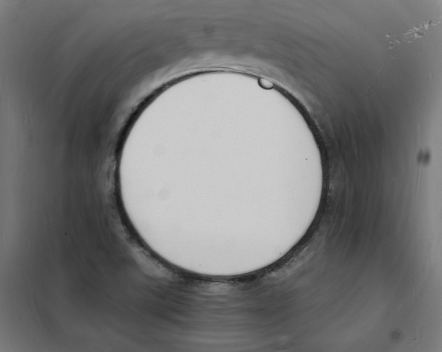 X0000101671507200808071032
