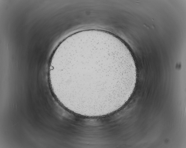 X0000101671508200808071032