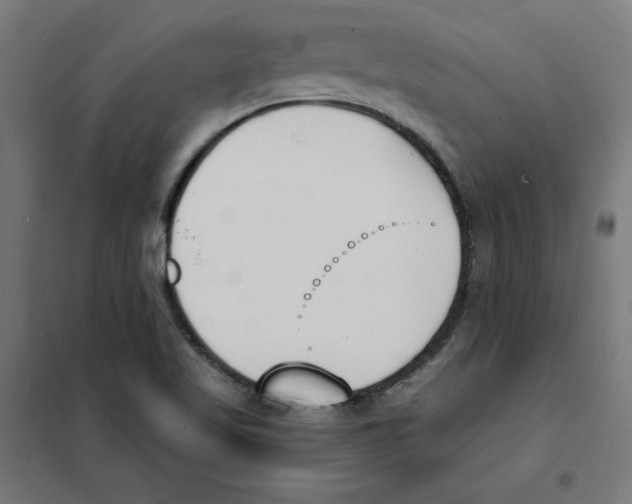 X0000101671509200808071032