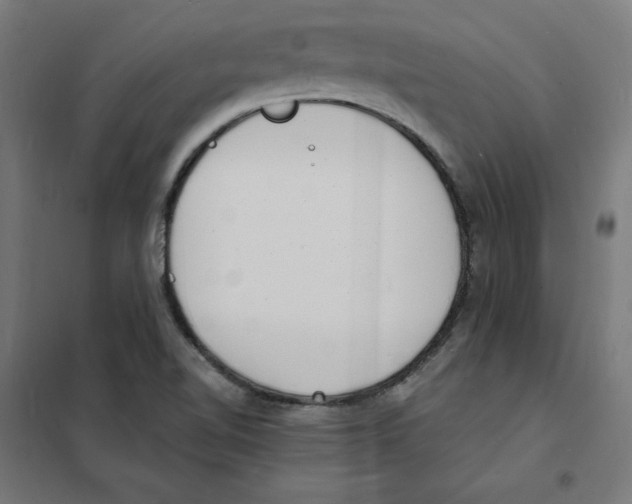 X0000101671510200808071032