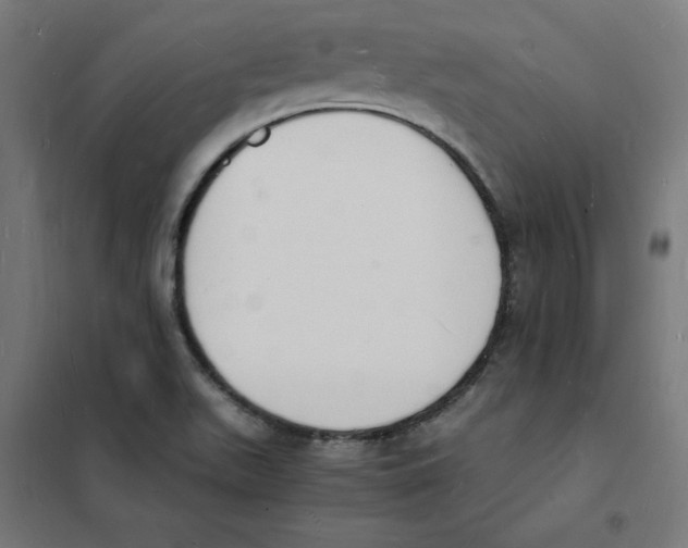 X0000101671511200808071032