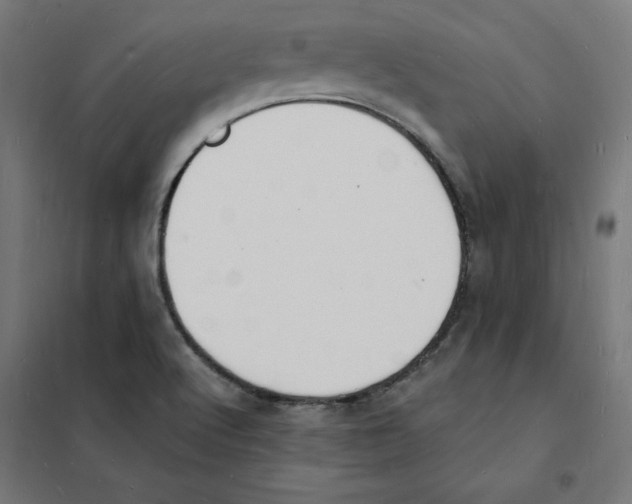 X0000101671512200808071032