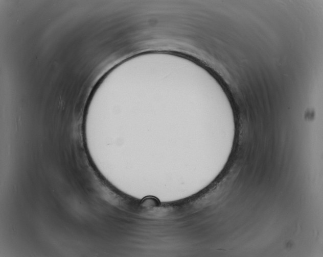 X0000101671513200808071032