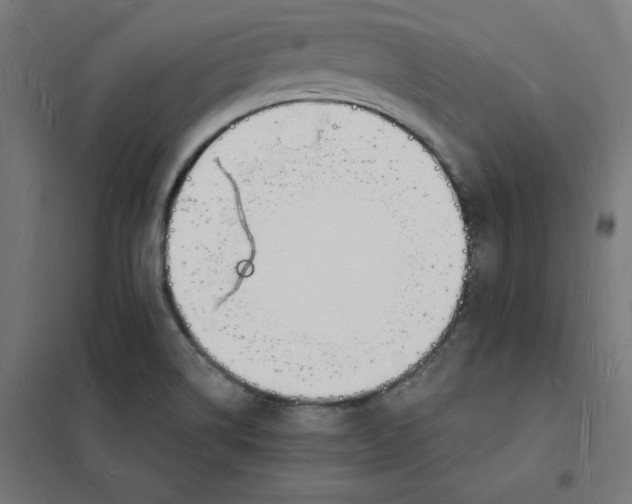 X0000101671514200808071032