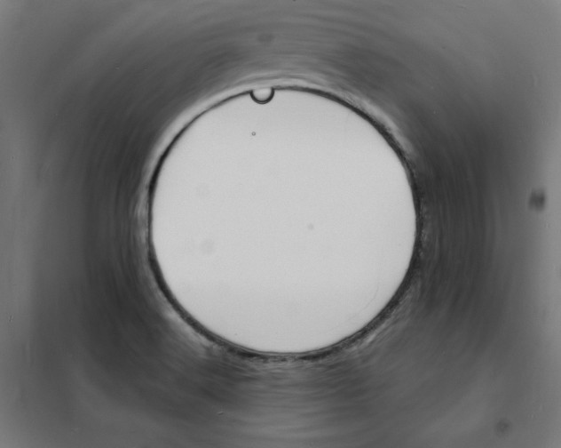X0000101671516200808071032