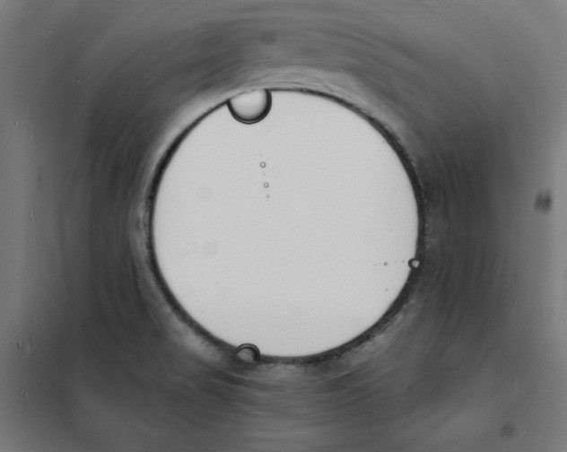 X0000101671517200808071032