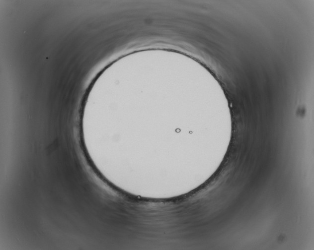 X0000101671518200808071032