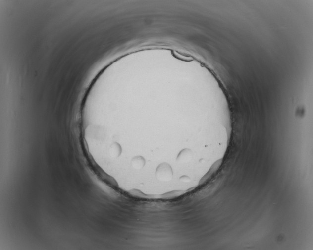 X0000101671519200808071032