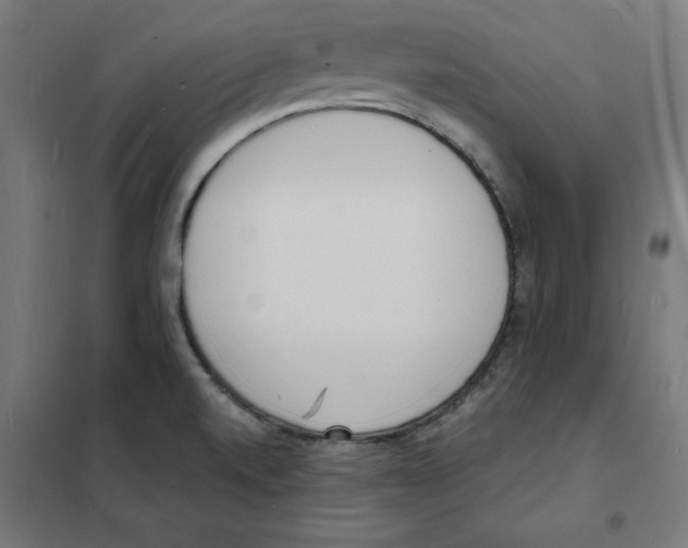 X0000101671520200808071032