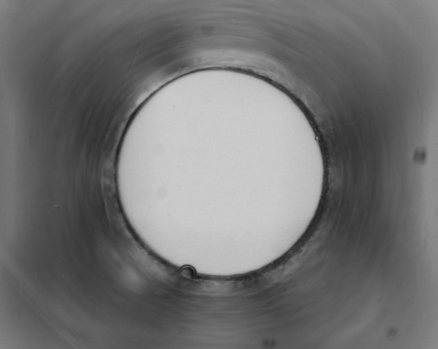 X0000101671521200808071032