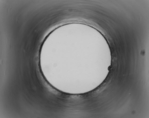 X0000101671523200808071032
