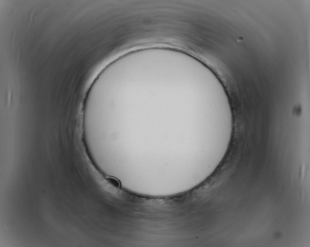 X0000101671524200808071032