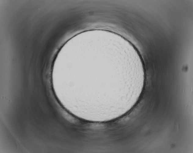 X0000101671525200808071032
