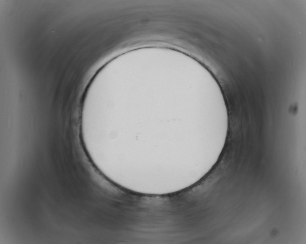 X0000101671526200808071032