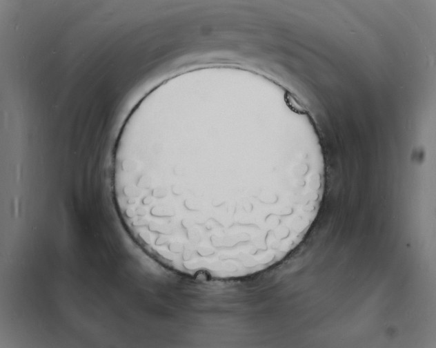 X0000101671527200808071032