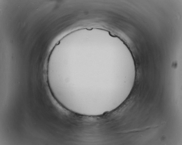 X0000101671528200808071032