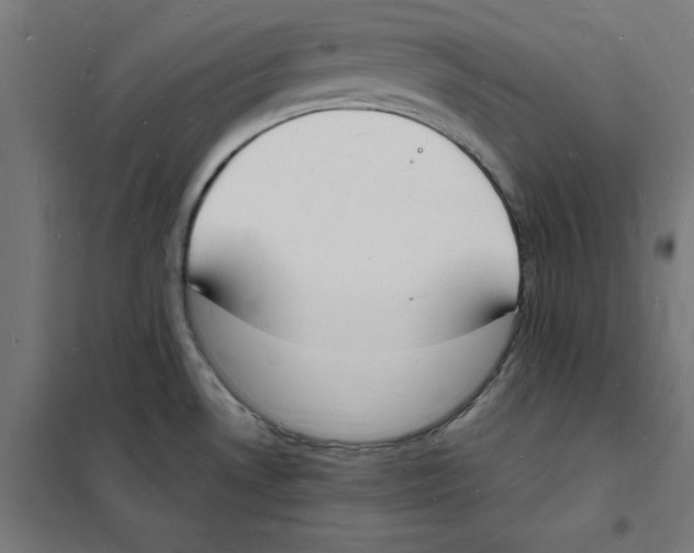 X0000101671530200808071032