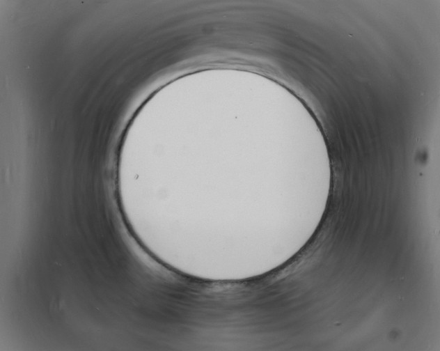 X0000101671531200808071032