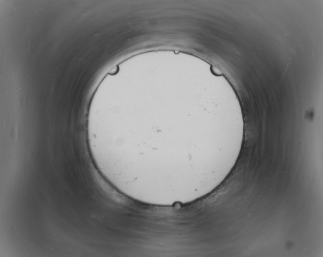X0000101671532200808071032