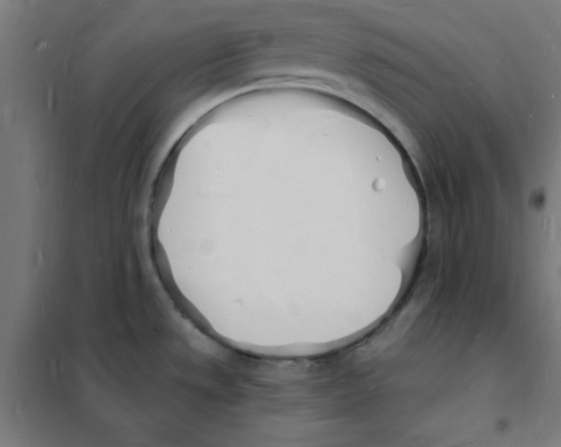 X0000101671533200808071032