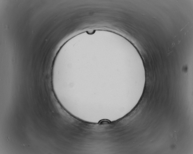 X0000101671534200808071032