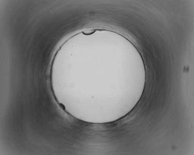 X0000101671536200808071032