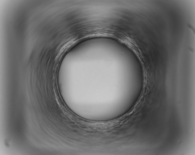 X0000101680001200807101155