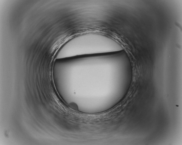 X0000101680002200807101155