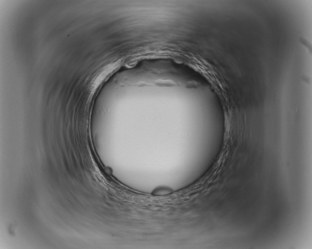 X0000101680003200807101155